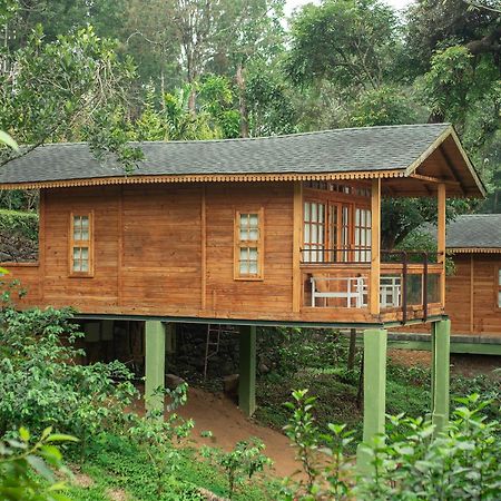 Misty Mountain Experience By Perfect Stays Pirmed Экстерьер фото