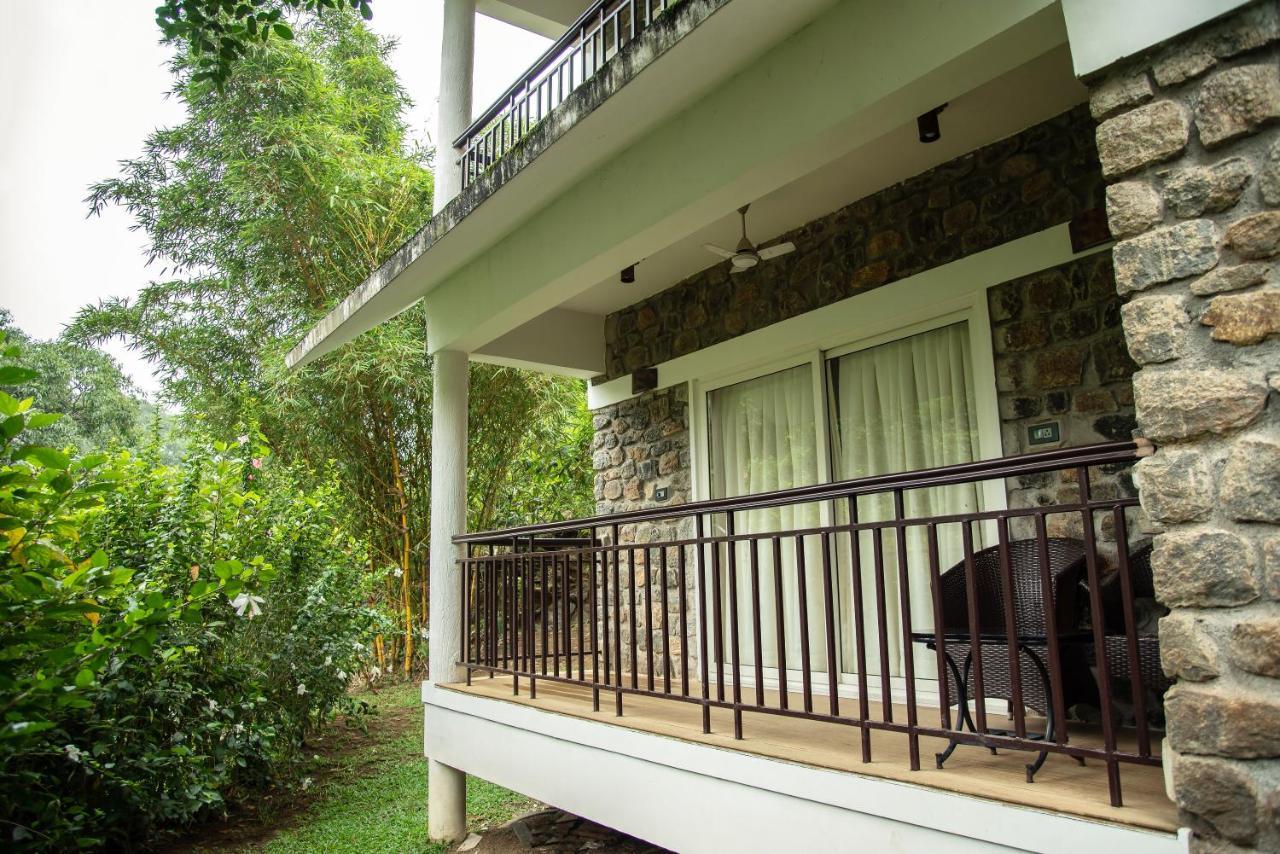 Misty Mountain Experience By Perfect Stays Pirmed Экстерьер фото