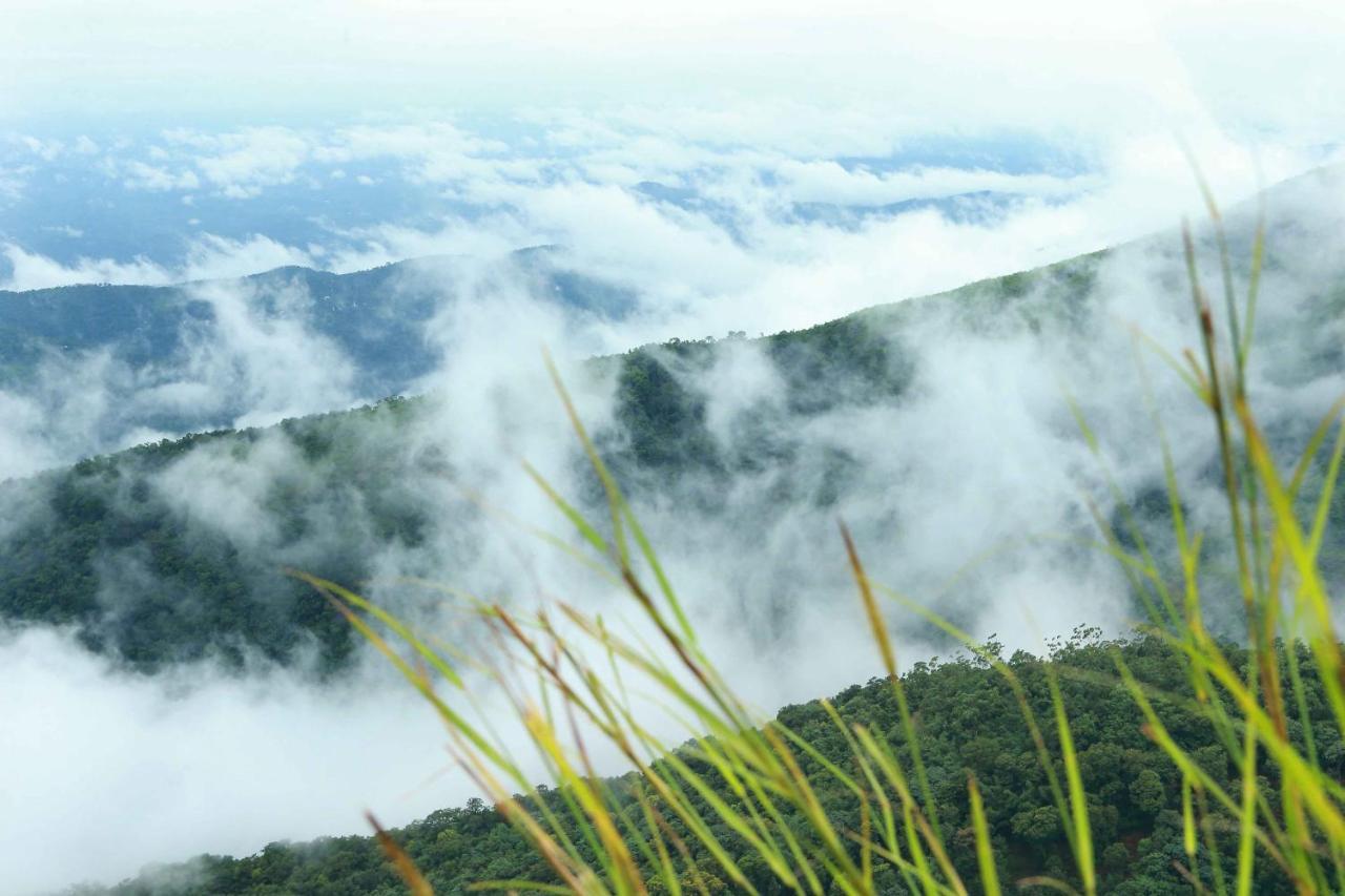 Misty Mountain Experience By Perfect Stays Pirmed Экстерьер фото