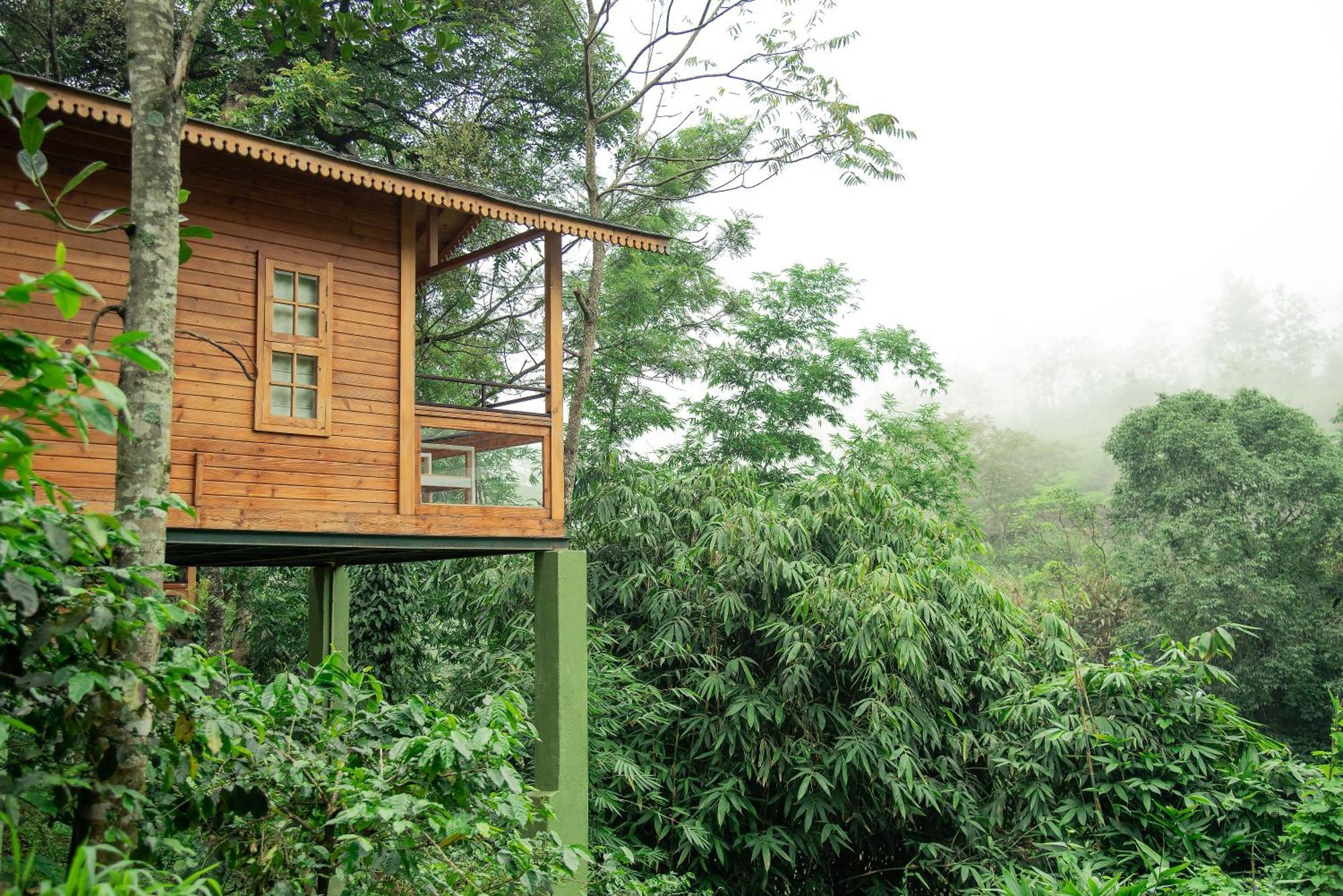 Misty Mountain Experience By Perfect Stays Pirmed Экстерьер фото