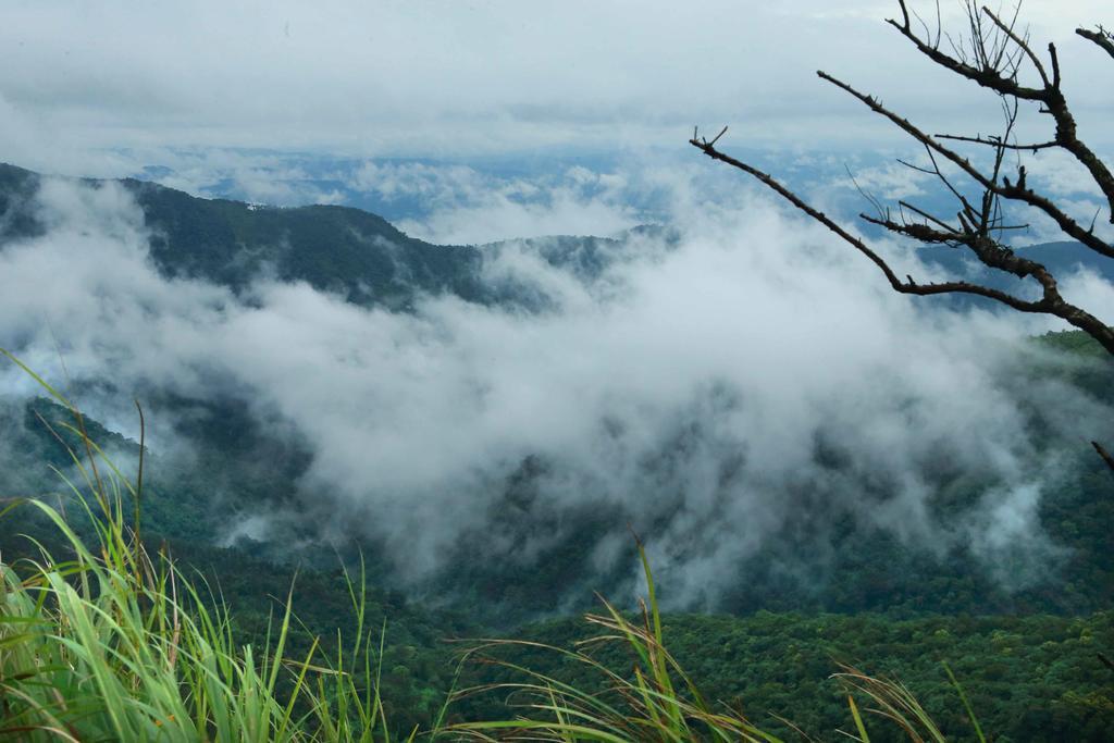 Misty Mountain Experience By Perfect Stays Pirmed Экстерьер фото