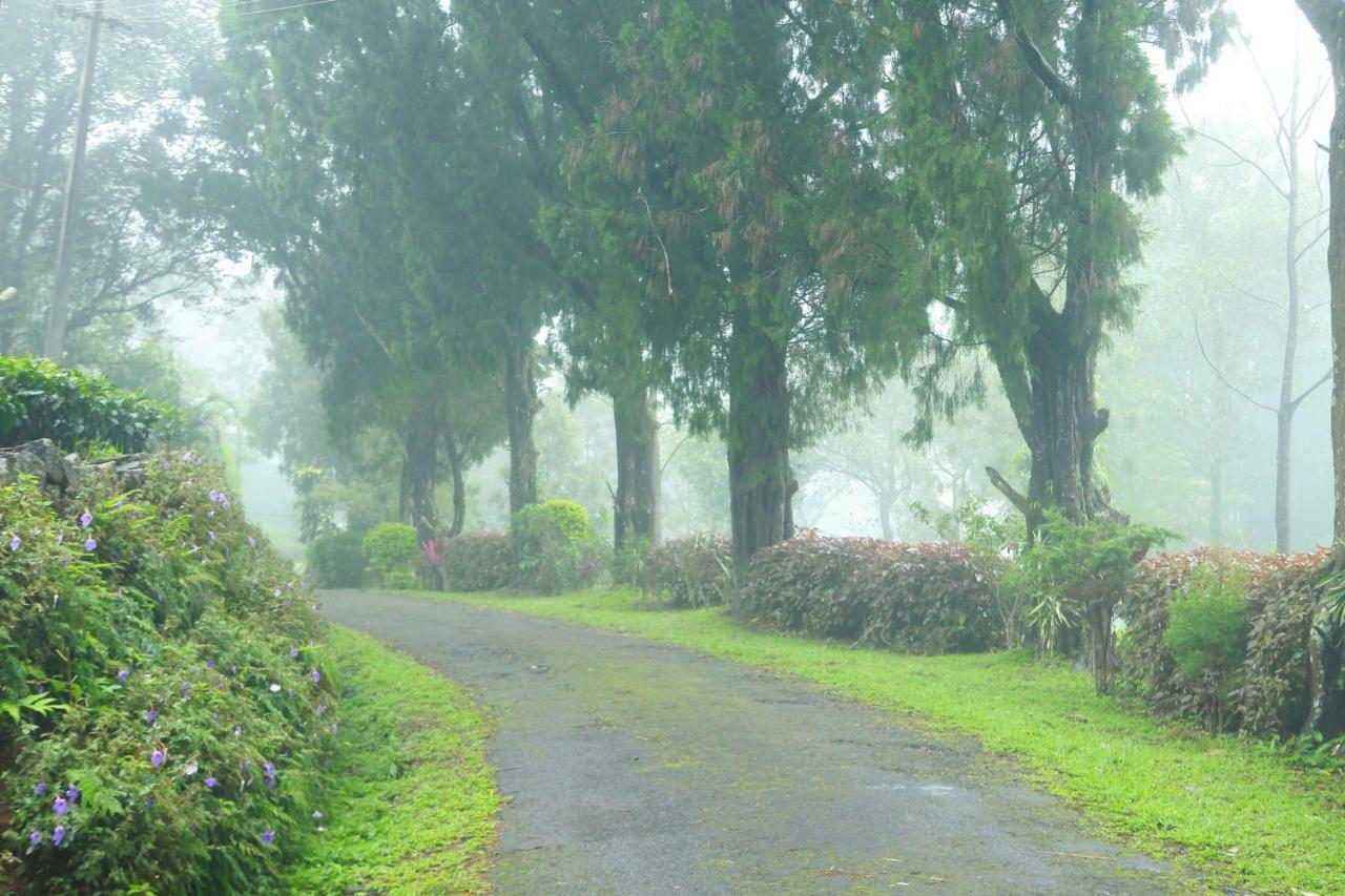 Misty Mountain Experience By Perfect Stays Pirmed Экстерьер фото